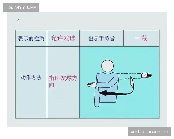 比赛暂停判定与恢复规则：裁判中止比赛的关键条件